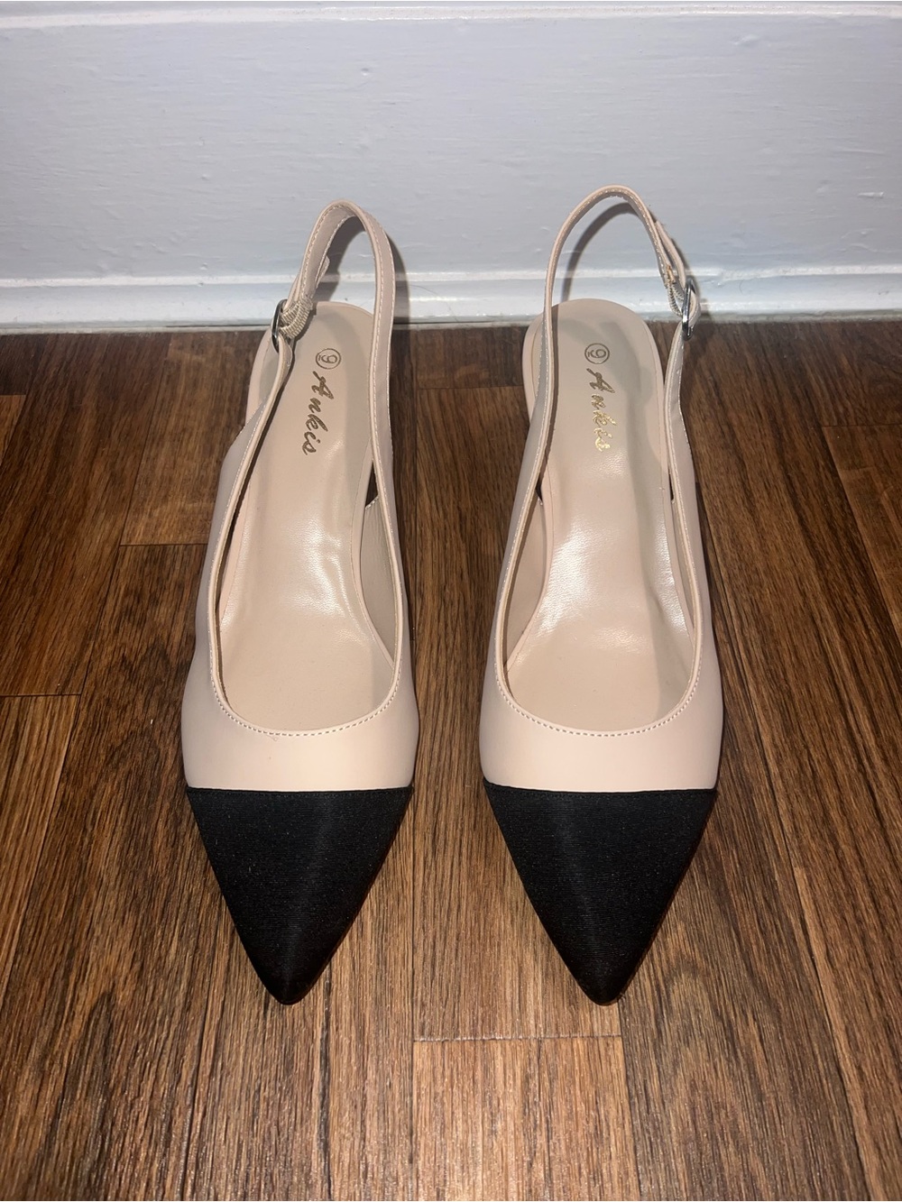 Two-Tone Pointed Slingback Flats - Nude and Black